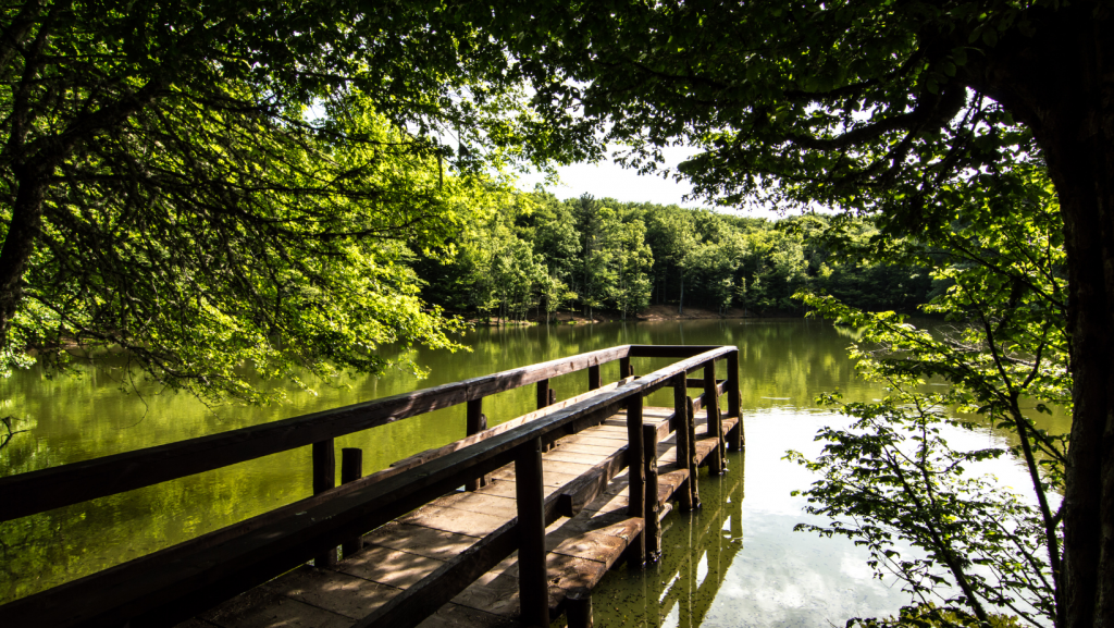 Foresta Umbra: il paradiso naturale in Puglia